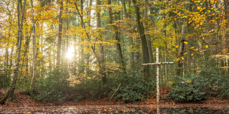 RuheForste und Allerheiligen – Eine Stille Verbundenheit